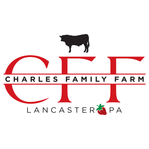 CFF-2023-logo